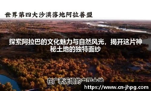 MK体育